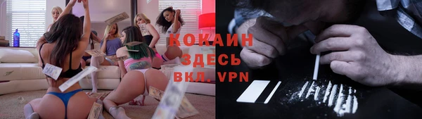 mdpv Снежинск