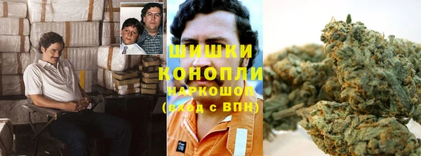 трава Снежногорск