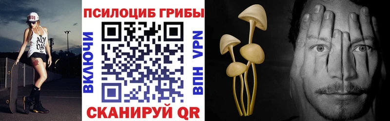 Галлюциногенные грибы GOLDEN TEACHER  Купить закладки  Конаково 